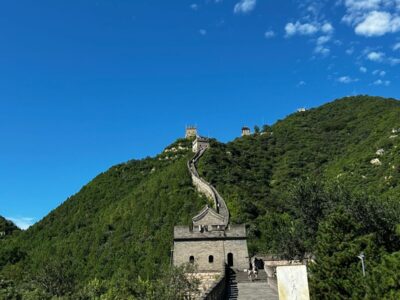 China Terra