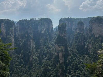 China Terra