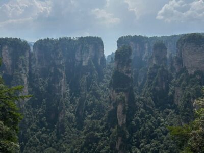 China Terra