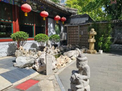 China Terra