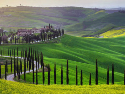Green hills of Tuscany in early spring