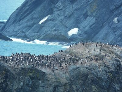 Antarctica7