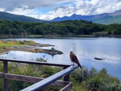 Ushuaia9