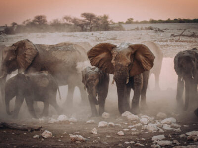 Namibia