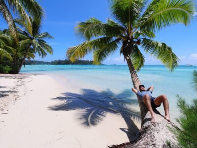 full-length-man-lying-palm-tree-beach