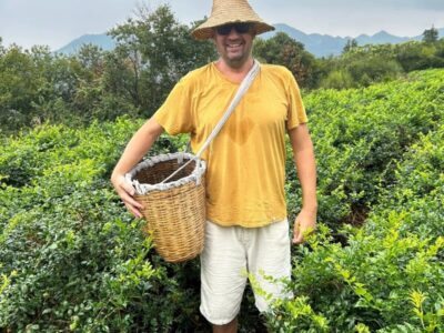 Razvan insotitor de grup pe plantatie de ceai in China cu Terra Incognita
