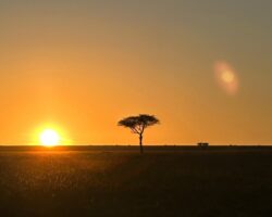 Kenya din calatoriile cu Terra Incognita