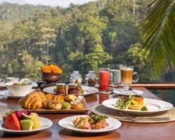 Terra Incognita in Bali.Campanie