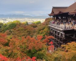 Terra Incognita in Japonia.Campanie