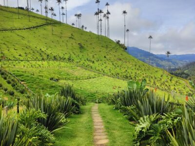 Calatorie Columbia TI 2026 Valea Cocora (11)
