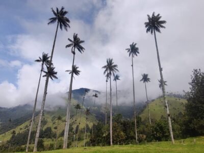 Calatorie Columbia TI 2026 Valea Cocora (12)