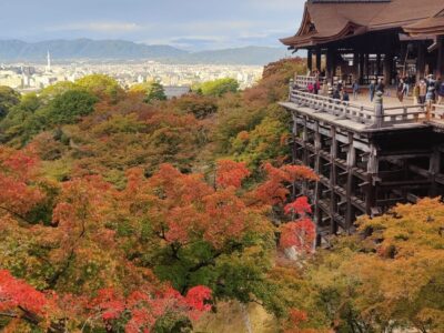 Calatorie Japonia TI 2025 (22)
