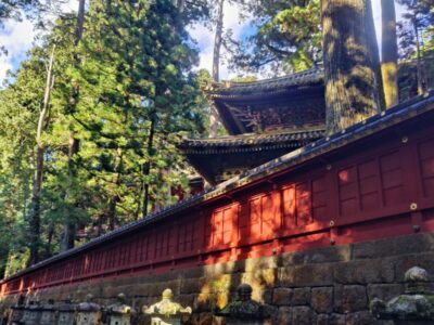Calatorie Japonia TI 2025 (4)