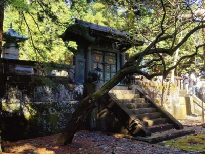 Calatorie Japonia TI 2025 (5)