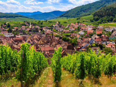 View of Riquewihr village with vineyard on a foreground. Alsace Wine Route, France